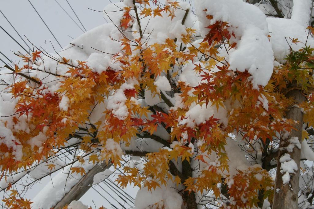 Akakura Wakui Hotel Myoko Eksteriør billede